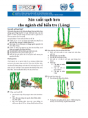 Sản xuất sạch hơn cho ngành chế biến tre (lùng)